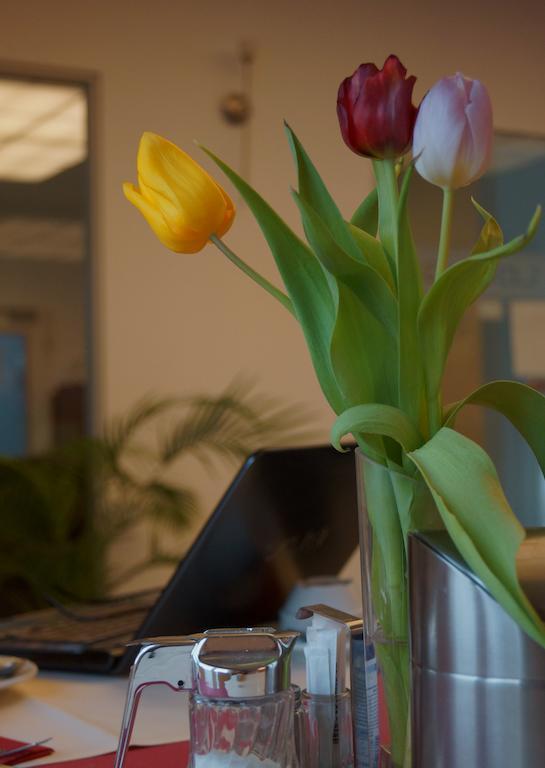 Goethe Hotel Messe By Trip Inn Frankfurt am Main Bagian luar foto